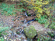 ���炳�炳��D�D�D